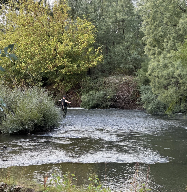 Recreational Fishing - Riverside King Valley